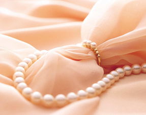 精品潮流高雅珠寶首飾實(shí)物禮品素材圖片 模板下載 3.15mb 其他大全 標(biāo)志丨符號(hào)